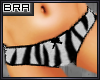 [Bra] Zebra Panties