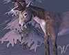 Winter Wonderland Deer