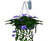 Hanging flowers (blue)