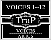 Voices~Arius