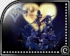 (c) Kingdom Hearts tee~F