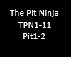 The Pit Ninja