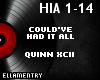 Could'veHadItAll-Quinn