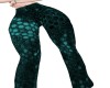 llAr aquamarine pants