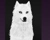 White Wolf Sound HOwling Dogs Pet Pets