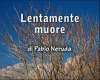 Lentamente Muore Poesia