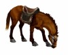 Horse animated brown