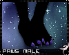 !F:Nebula: Paws M