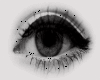 brown eyeliner