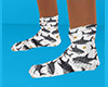Shark Socks flat 2 (F)