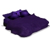 Purple NP Bed