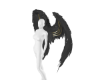Dark Gray Angel Wings