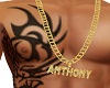 {KL}Anthony Chain
