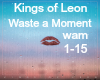 KingsLeon:Waste a Moment