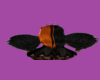 Devil Wings black