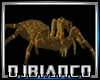 Epic Sahara Spider