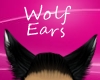Wolf Black Ears