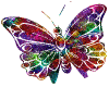 butterfly sticker