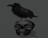 !R! Gothic Raven