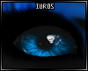Blue Skutah (F/M) Eyes