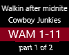 WALKING AFTER MIDNITE  1