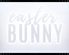 Y: easter bunny - ears