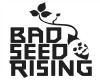 Bad Seed Rising
