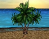 Sum. Breeze Coconut Tree