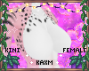 ꨄBlossom Fur Fꨄ