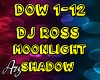 DJ Ross Moonlight Shadow
