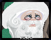 🌻 Christmas Santa