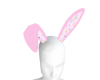 Pk Bunny Ears
