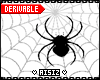 Spider Web on Wall DRV
