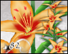 *82 Lily- 5 Bloom Orange