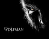 Wolfman Backdrop room