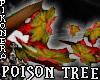 POISON WITCH  TREE