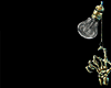 Z*Ankh & Horus Eyes E.V2