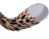 Serval Tail v3
