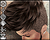 H~Hair|Tidal 'Chestnut.