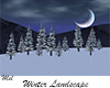 Winter Landscape
