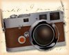 Vintage Brown SLR Camera