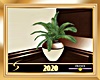 Palm Potted 3