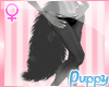 [Pup] Dark Puppy Tail