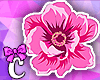 C. Pretty Pink Flower