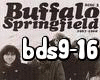 BuffaloDreamSpringfield2