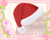 Santa Hat Christmas