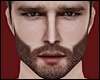 Jensen Beard - Pale MH