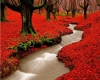 Red Forest Stream Wall