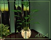 Z: Envy Plant II