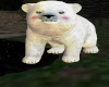 Bear cub White/brown eye